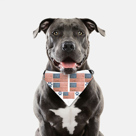 4th of july dog collars best sale