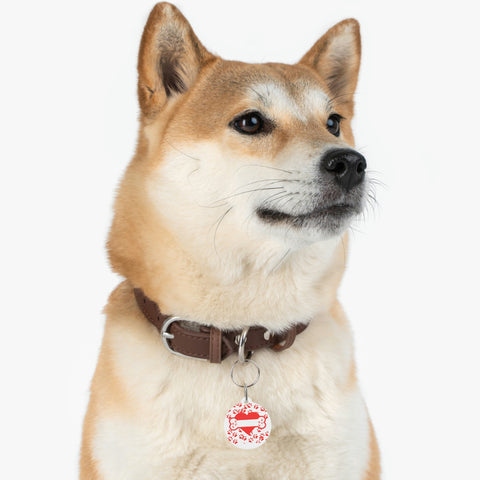 Image of Bone Paws Pet Tag